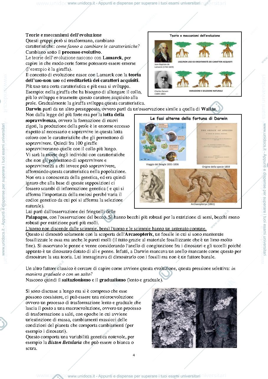 Anteprima pagina 4 — ANATOMIA COMPARATA (AA.2019-2020) - F. Vanzi 
