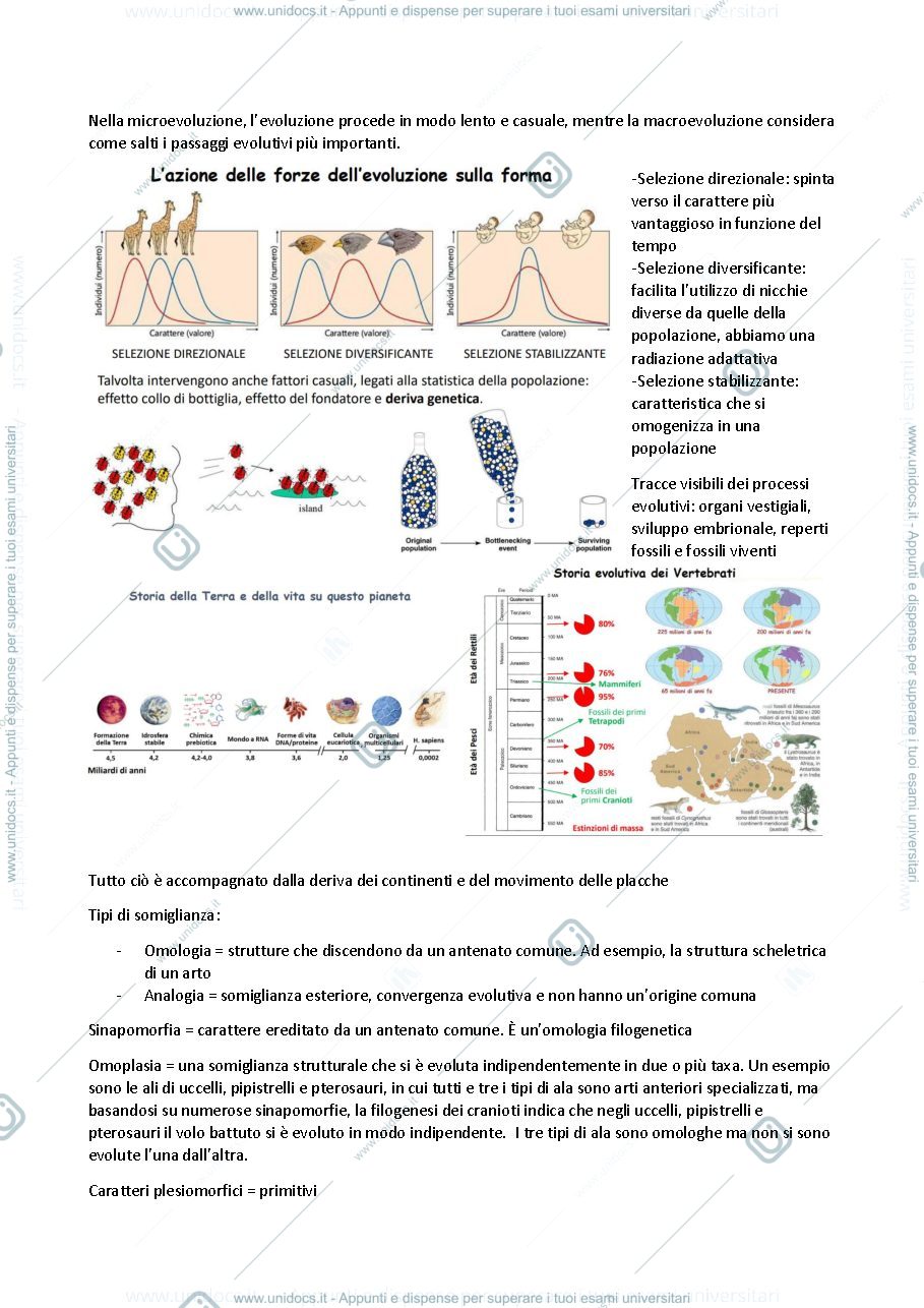 Anteprima pagina 2 — Anatomia comparata