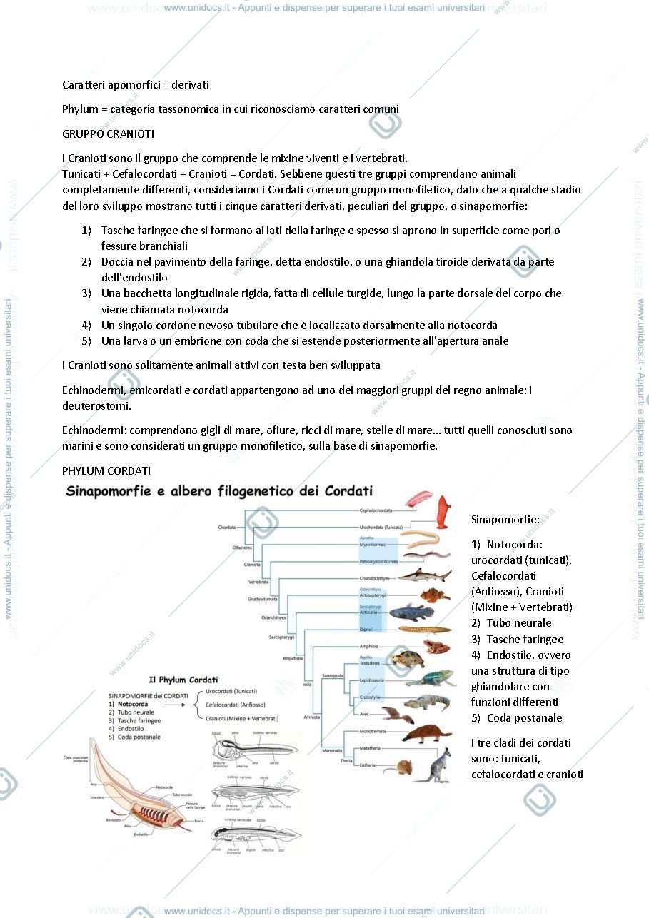 Anteprima pagina 3 — Anatomia comparata