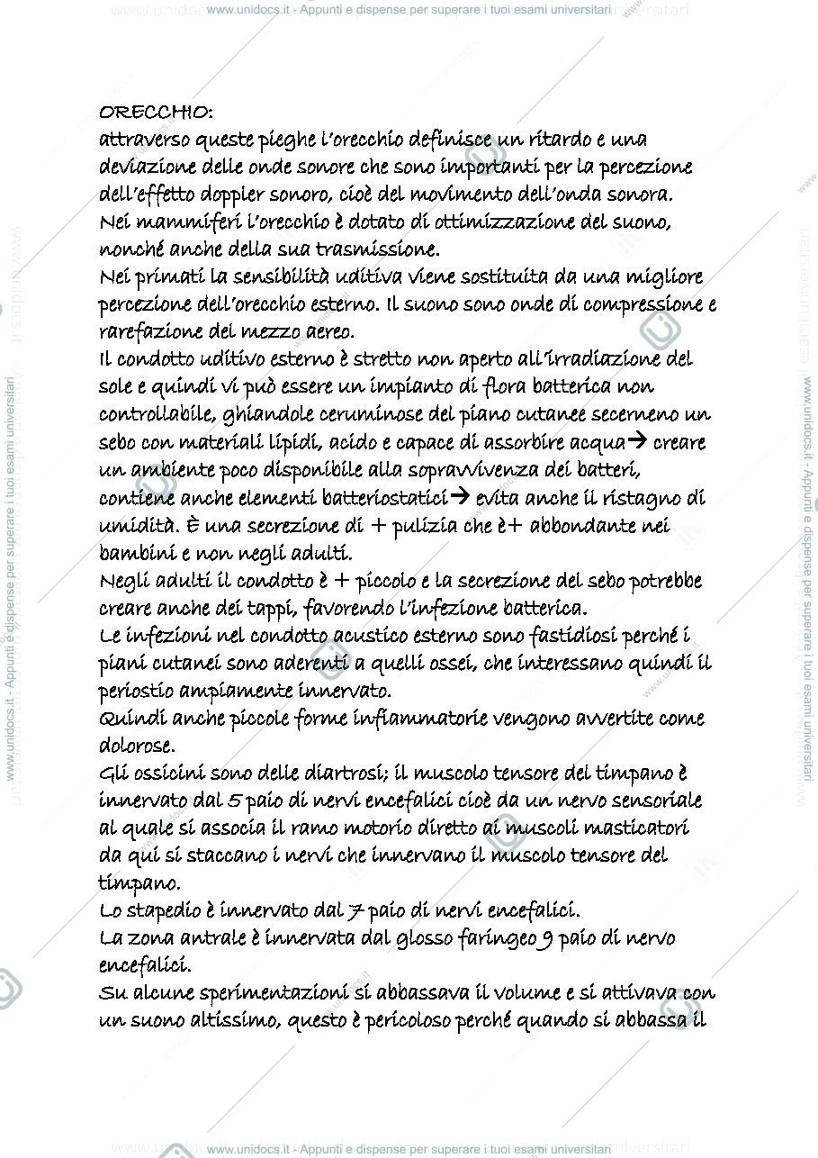 Anteprima pagina 1 — orecchio anatomia
