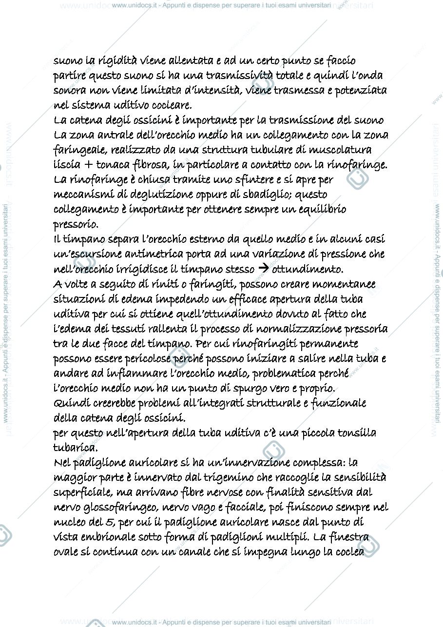 Anteprima pagina 2 — orecchio anatomia