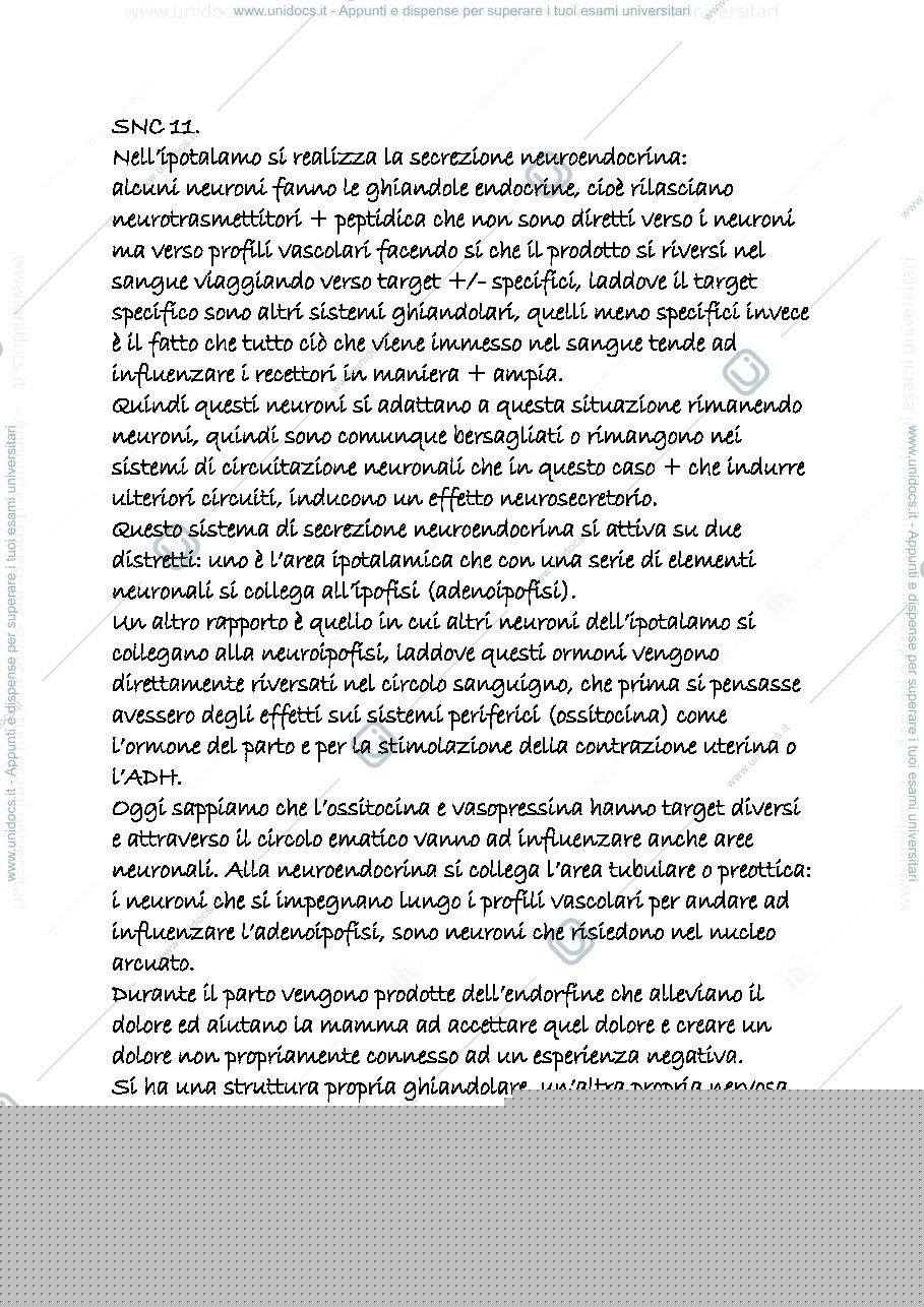 Anteprima pagina 1 — snc 11
