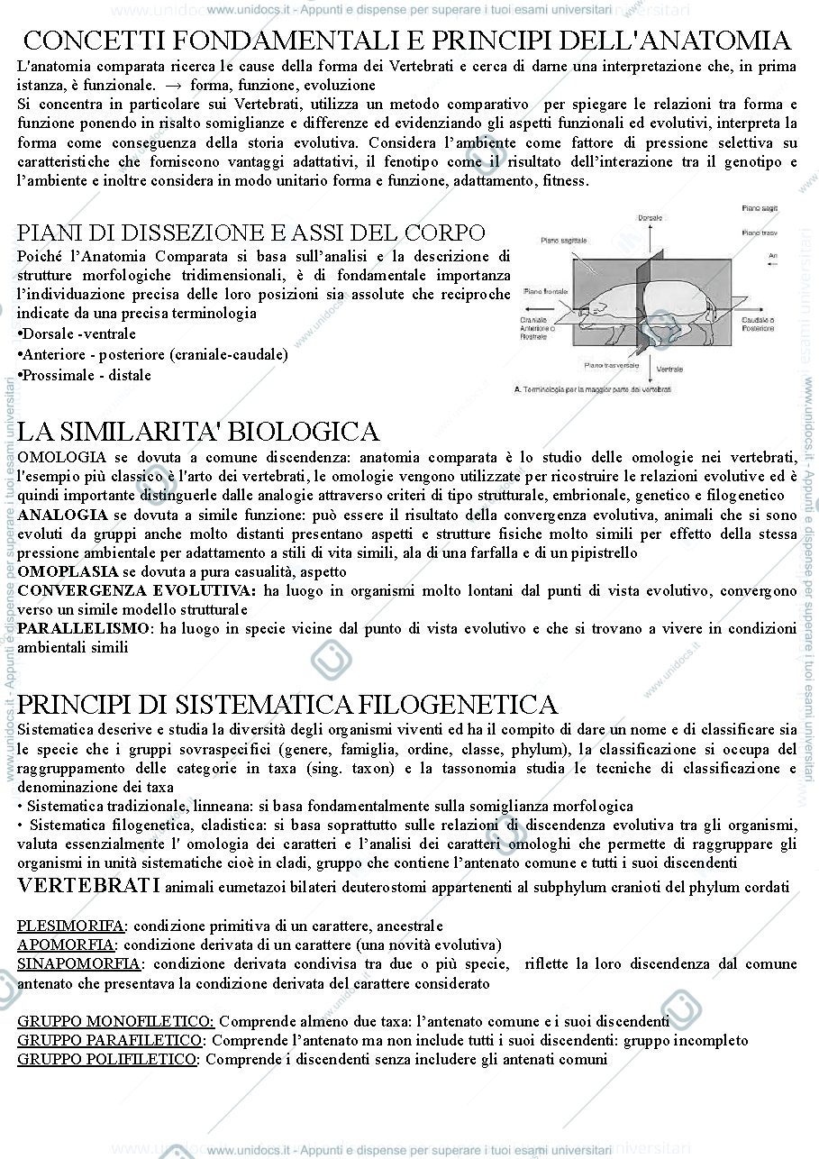 Anteprima pagina 1 — ANATOMIA COMPARATA