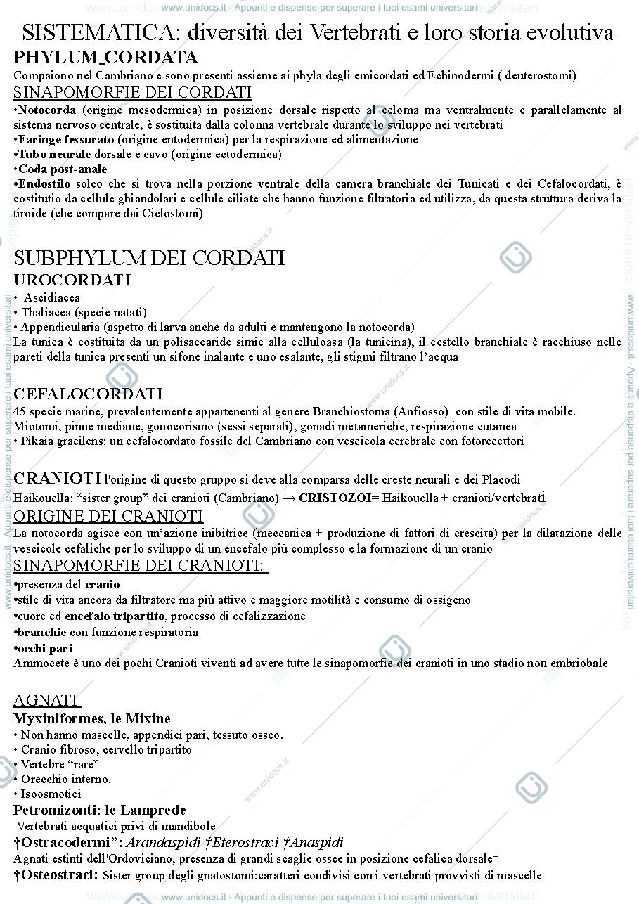 Anteprima pagina 2 — ANATOMIA COMPARATA