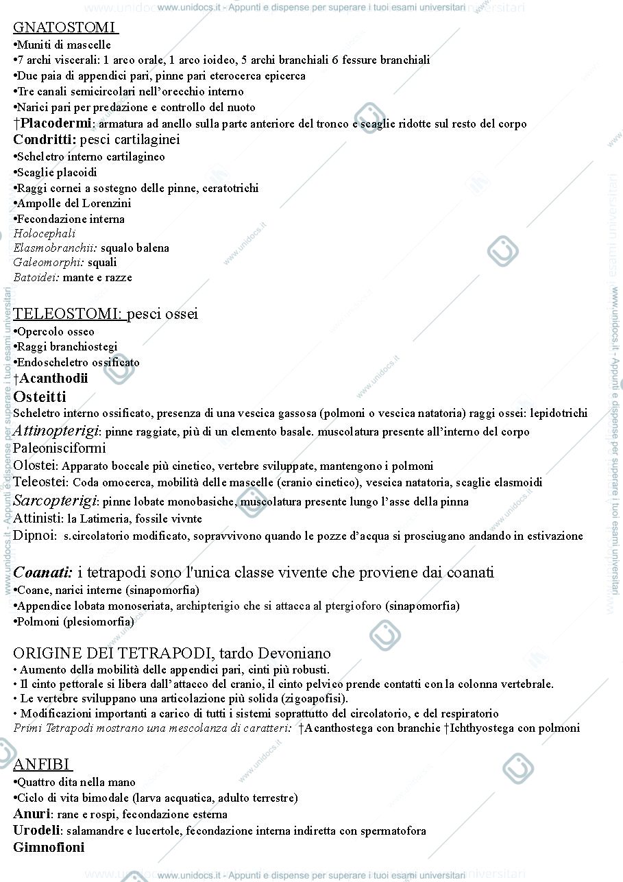 Anteprima pagina 3 — ANATOMIA COMPARATA