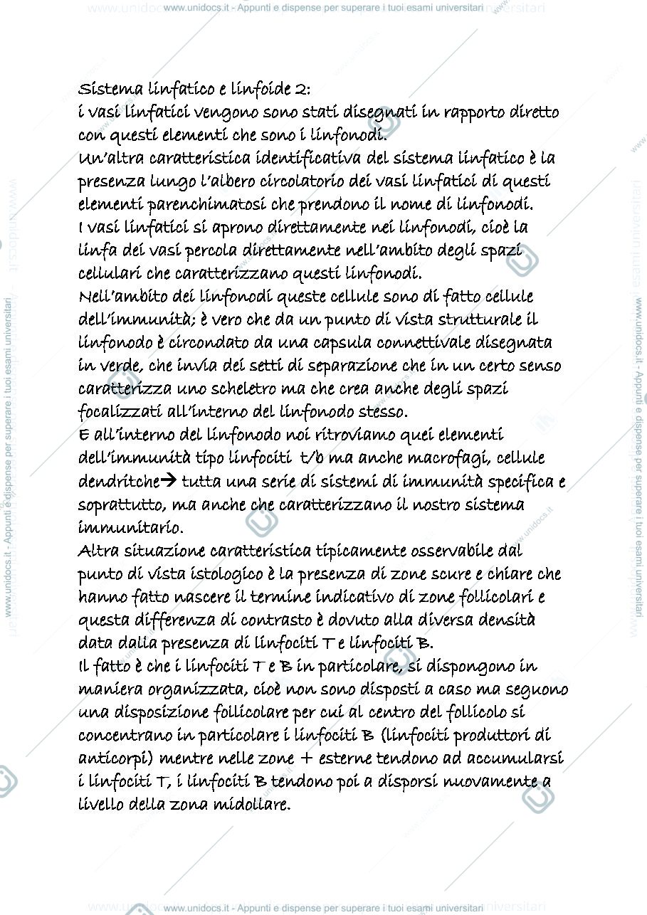 Anteprima pagina 1 — linfatico e linfoide