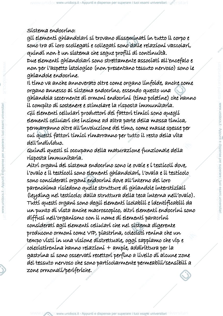 Anteprima pagina 1 — endocrino