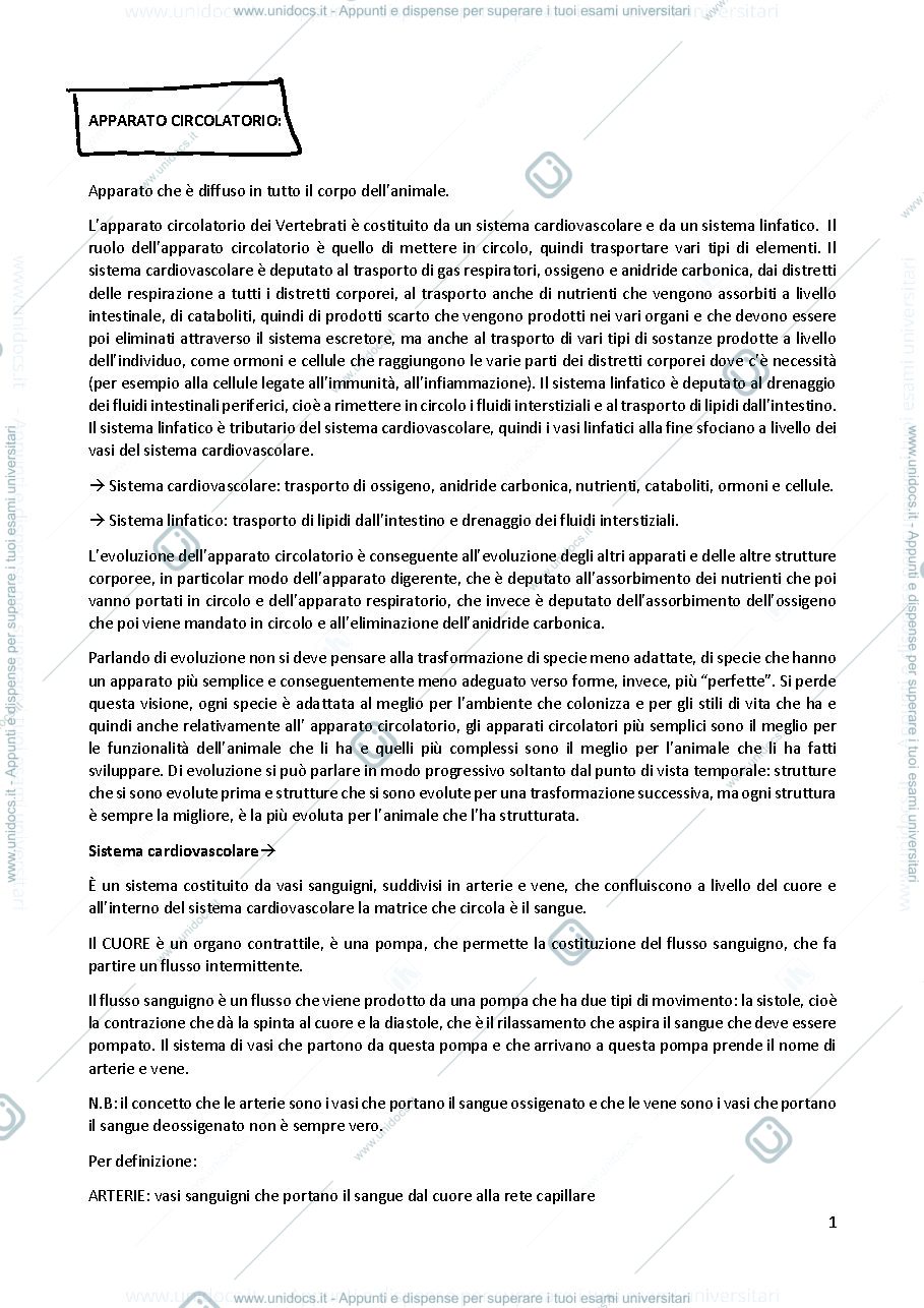 Anteprima pagina 1 — Anatomia comparata