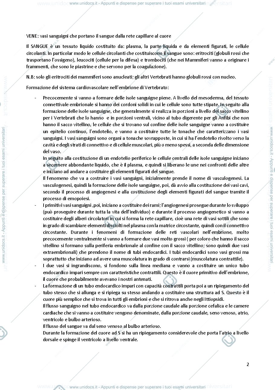 Anteprima pagina 2 — Anatomia comparata