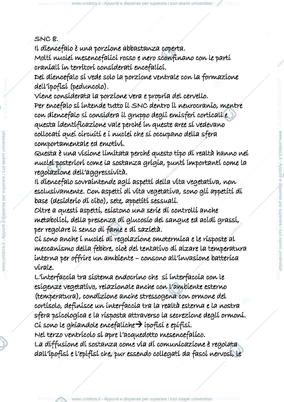 Anteprima pagina 1 — snc 8