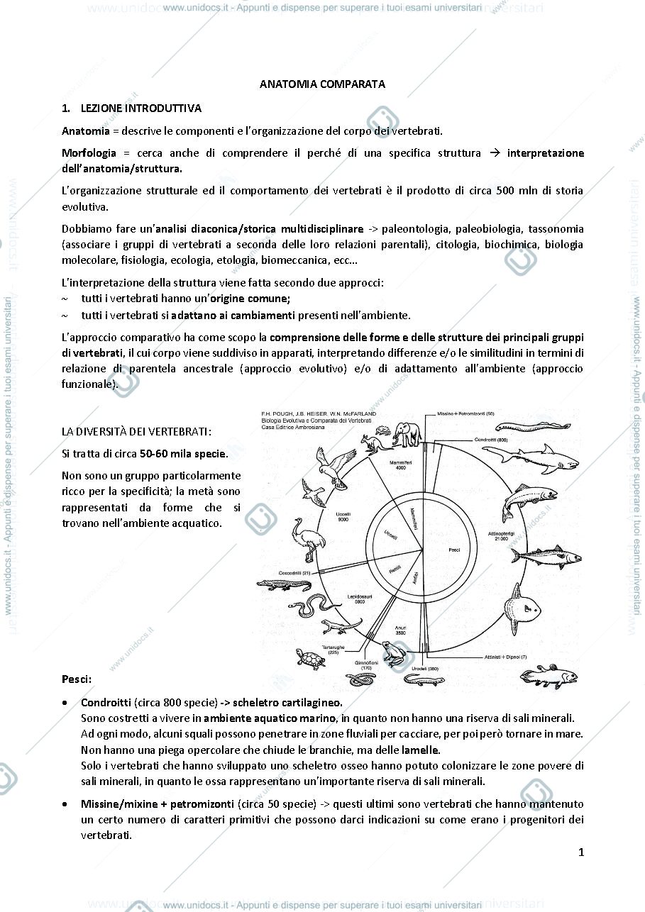 Anteprima pagina 1 — Anatomia comparata 