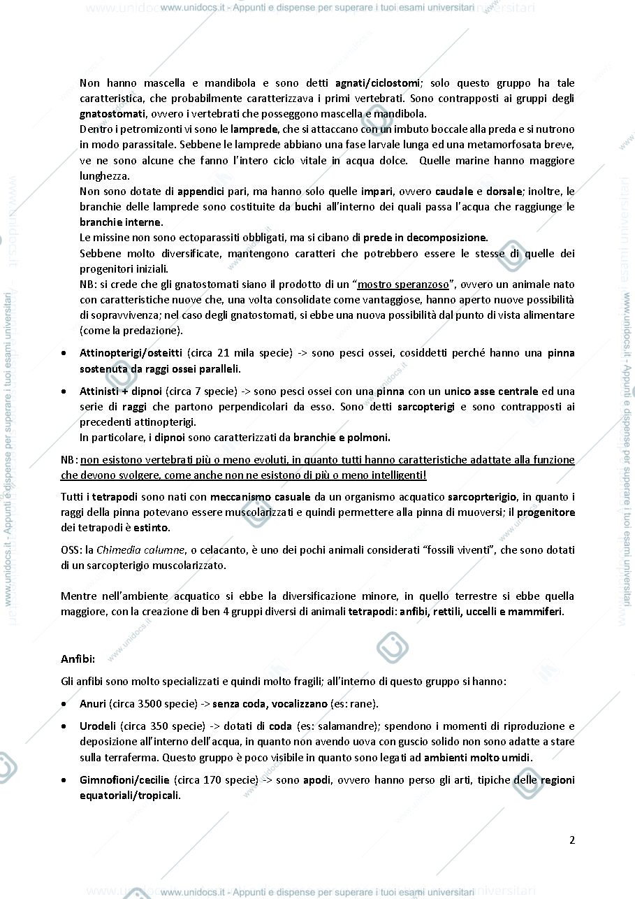 Anteprima pagina 2 — Anatomia comparata 
