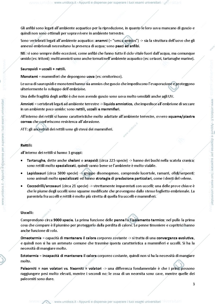 Anteprima pagina 3 — Anatomia comparata 