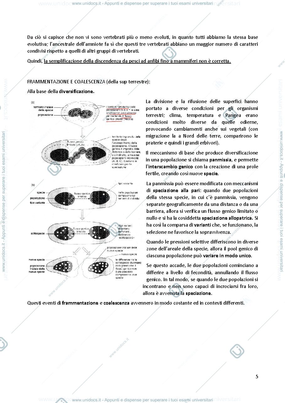 Anteprima pagina 5 — Anatomia comparata 
