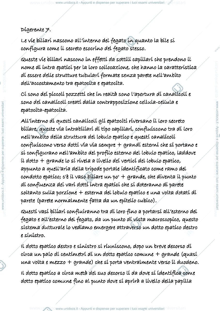 Anteprima pagina 1 — digerente 7