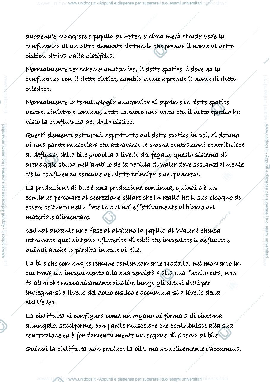 Anteprima pagina 2 — digerente 7