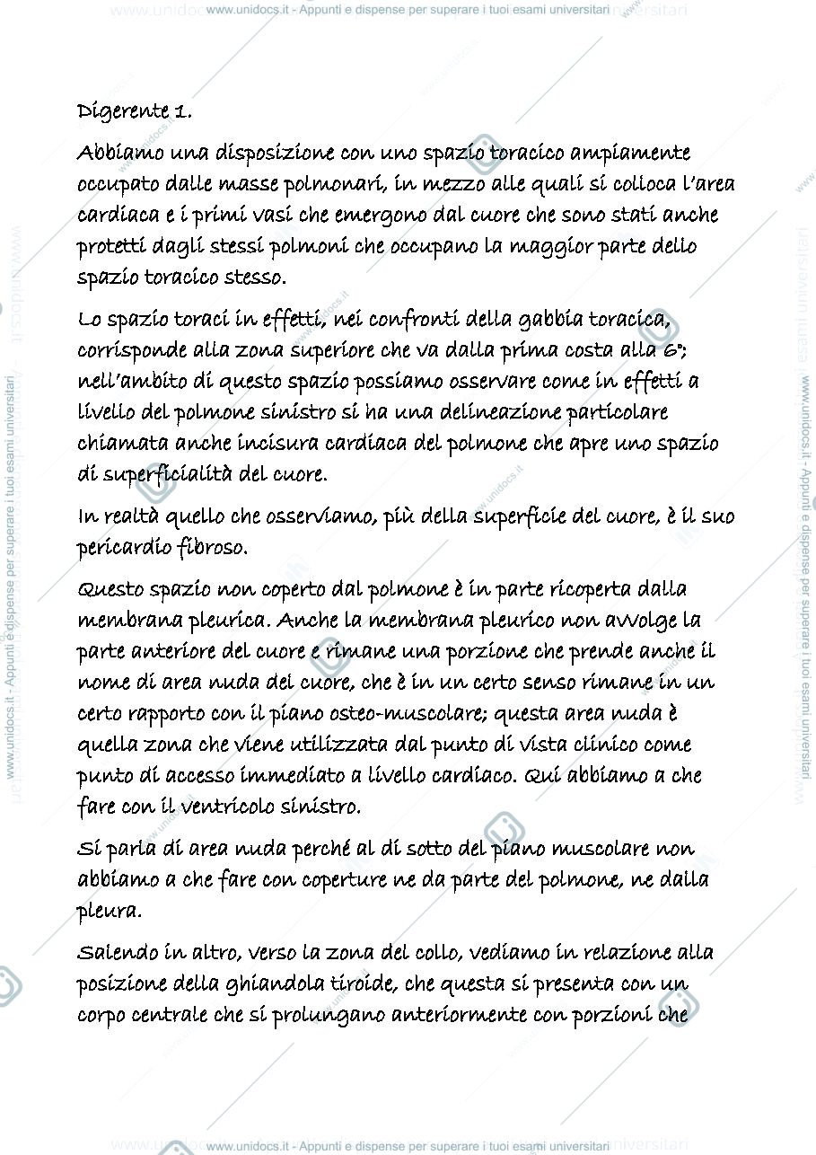 Anteprima pagina 1 — digerente 1