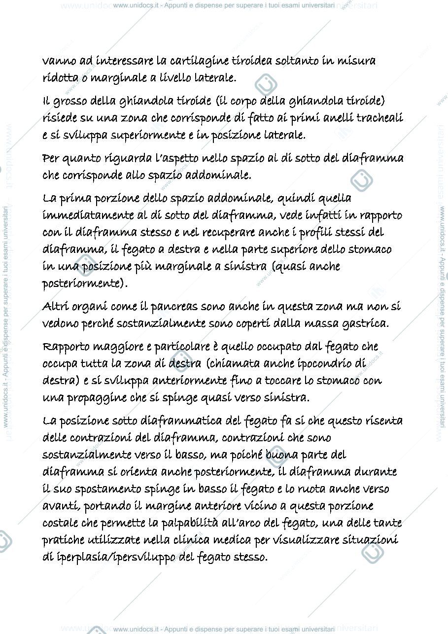 Anteprima pagina 2 — digerente 1