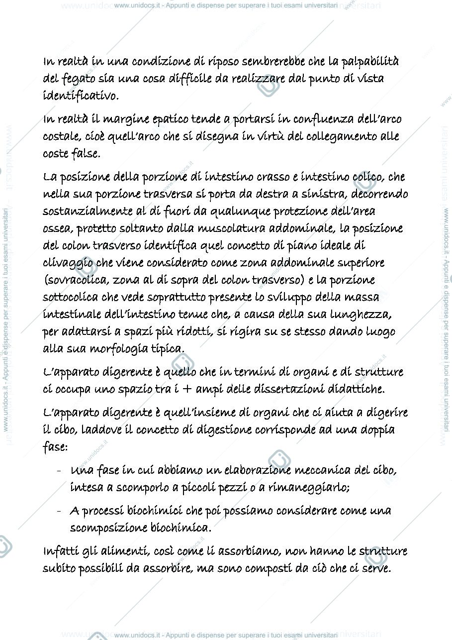 Anteprima pagina 3 — digerente 1
