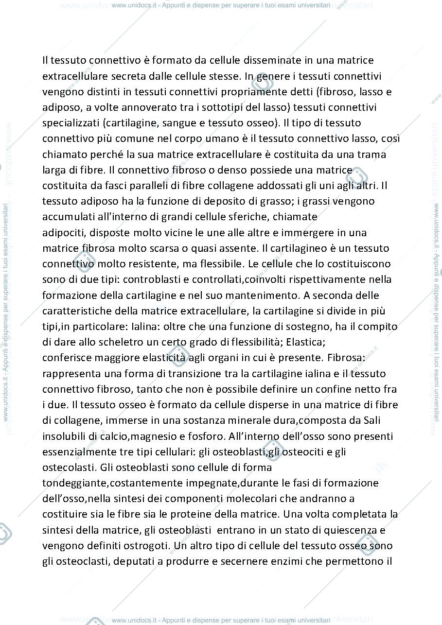 Anteprima pagina 1 — IL TESSUTO CONNETTIVO 