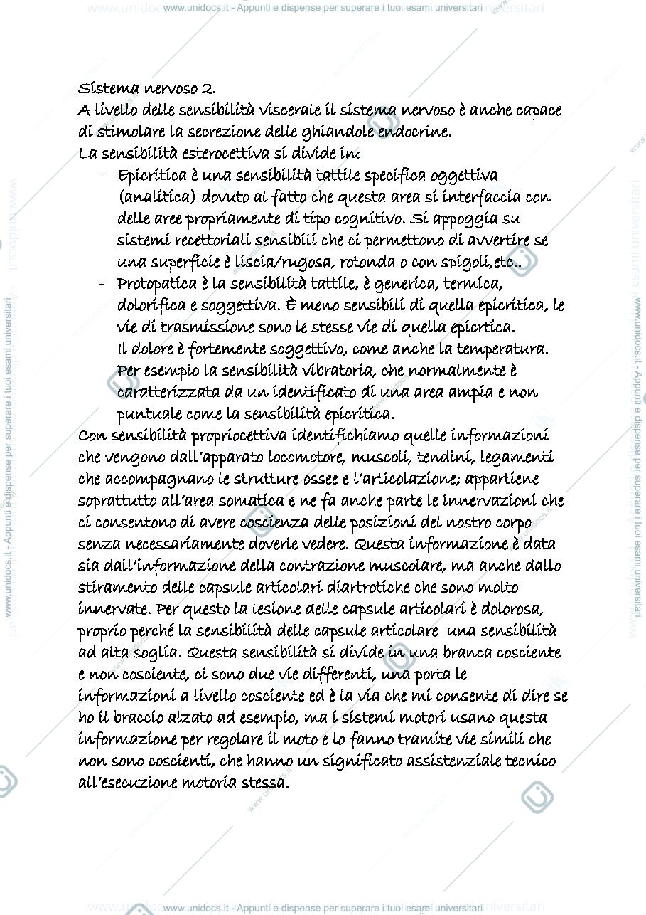 Anteprima pagina 1 — sistema nervoso 2