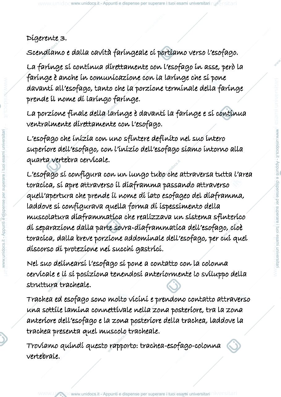 Anteprima pagina 1 — digerente 3