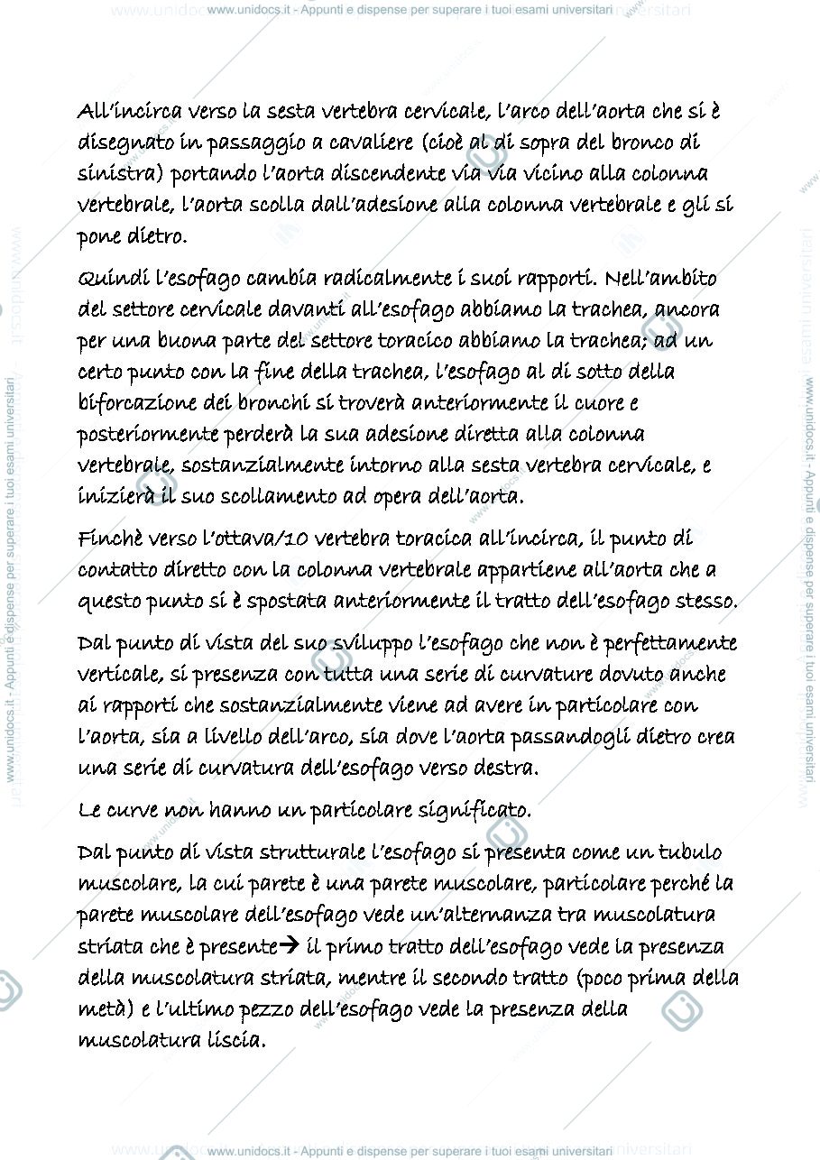 Anteprima pagina 2 — digerente 3
