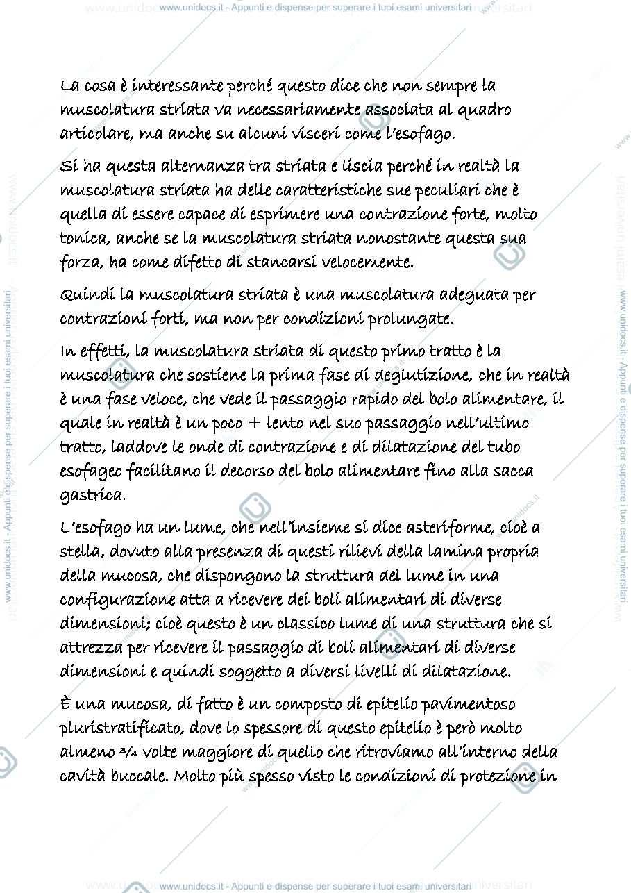 Anteprima pagina 3 — digerente 3