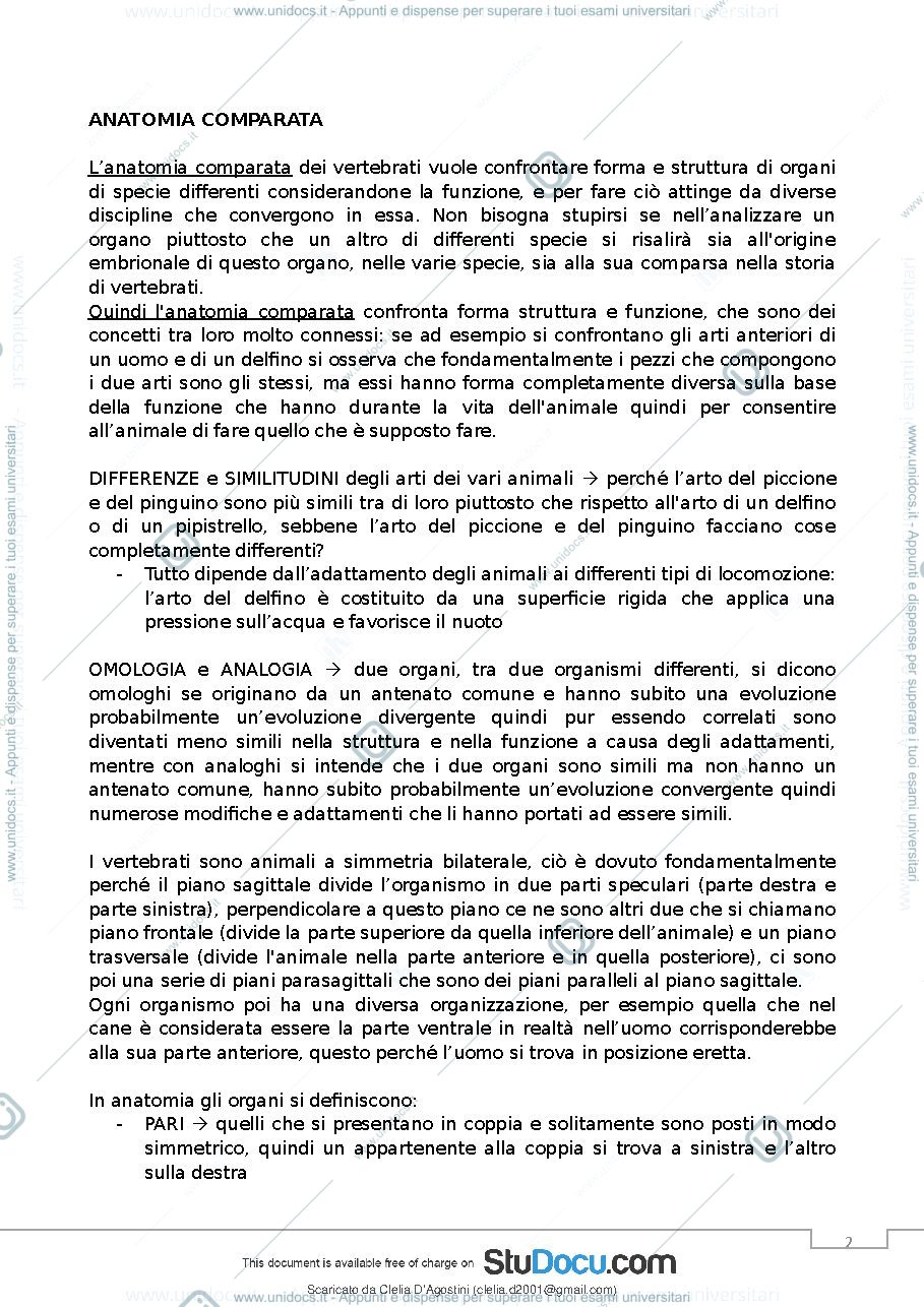 Anteprima pagina 2 — anatomia comparata