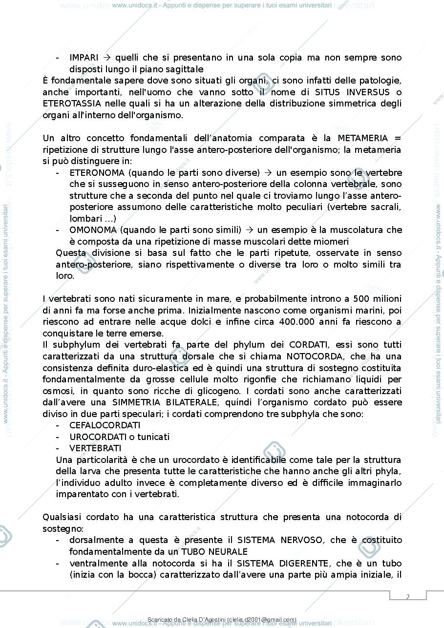 Anteprima pagina 3 — anatomia comparata