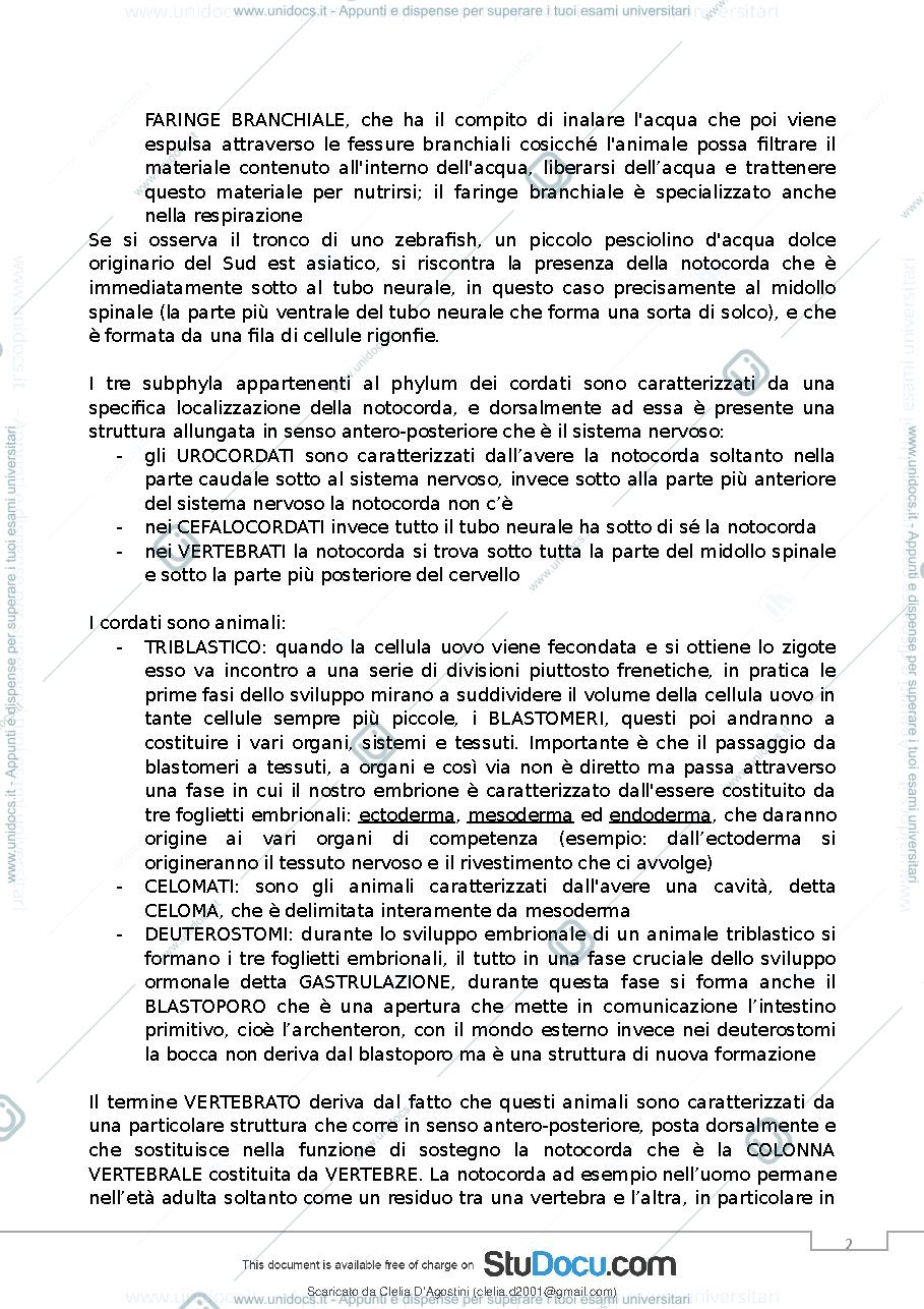Anteprima pagina 4 — anatomia comparata