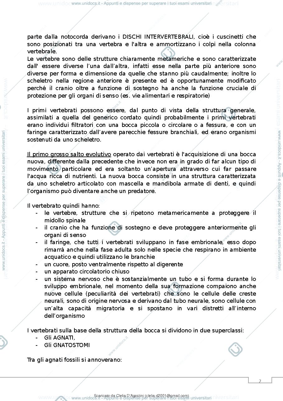 Anteprima pagina 5 — anatomia comparata