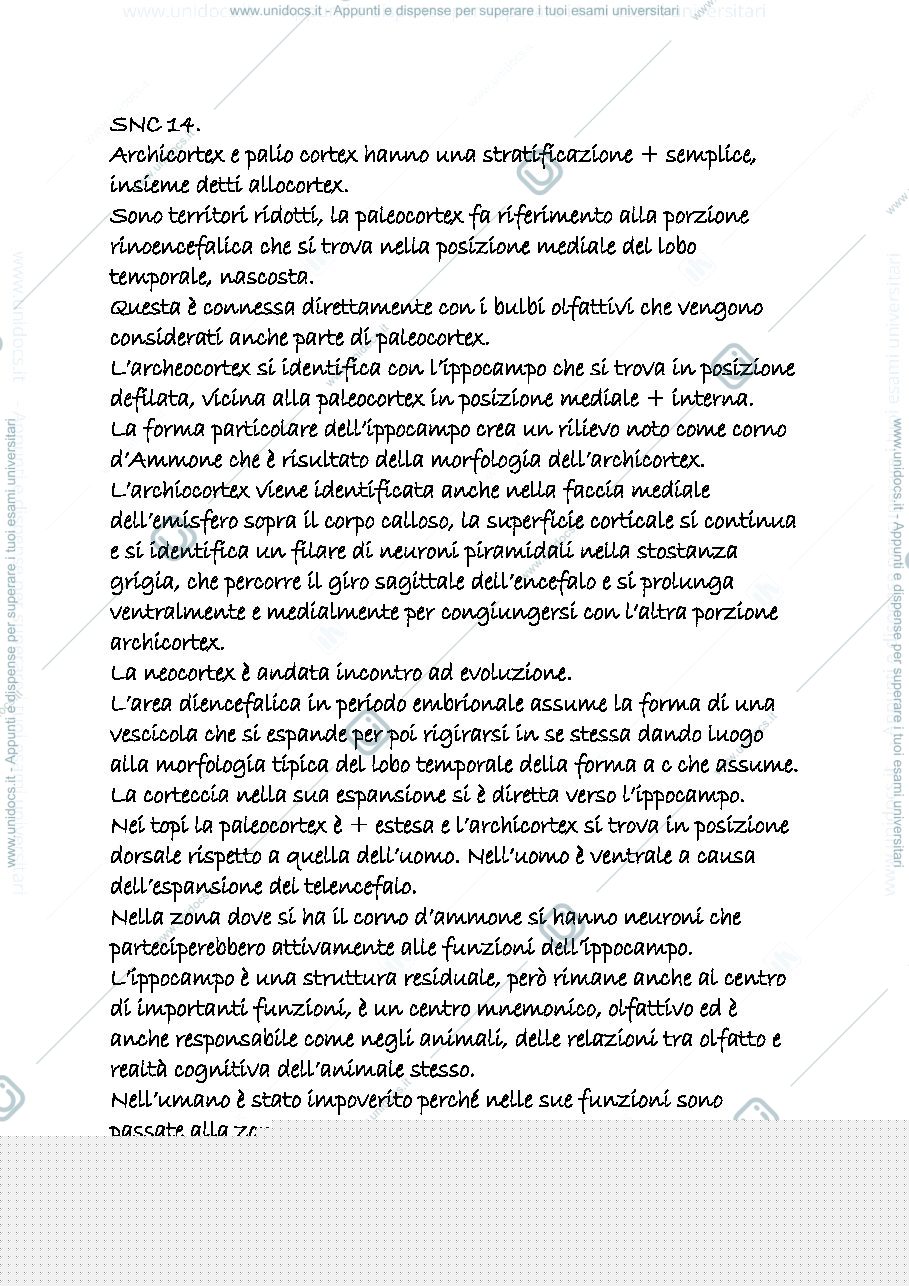 Anteprima pagina 1 — snc 14