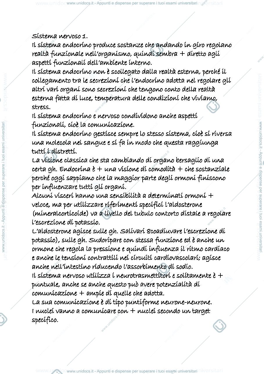 Anteprima pagina 1 — sistema nervoso