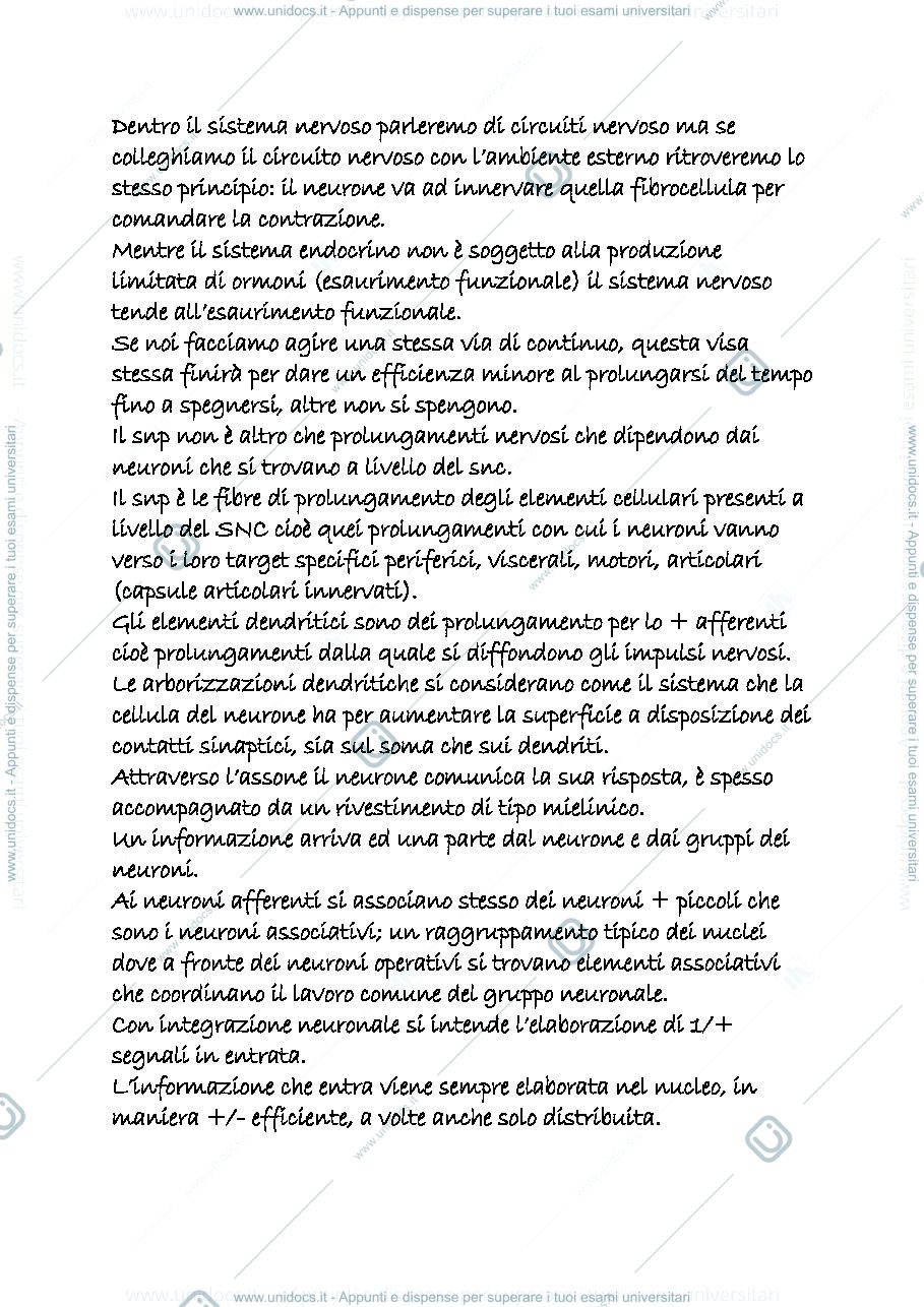 Anteprima pagina 2 — sistema nervoso