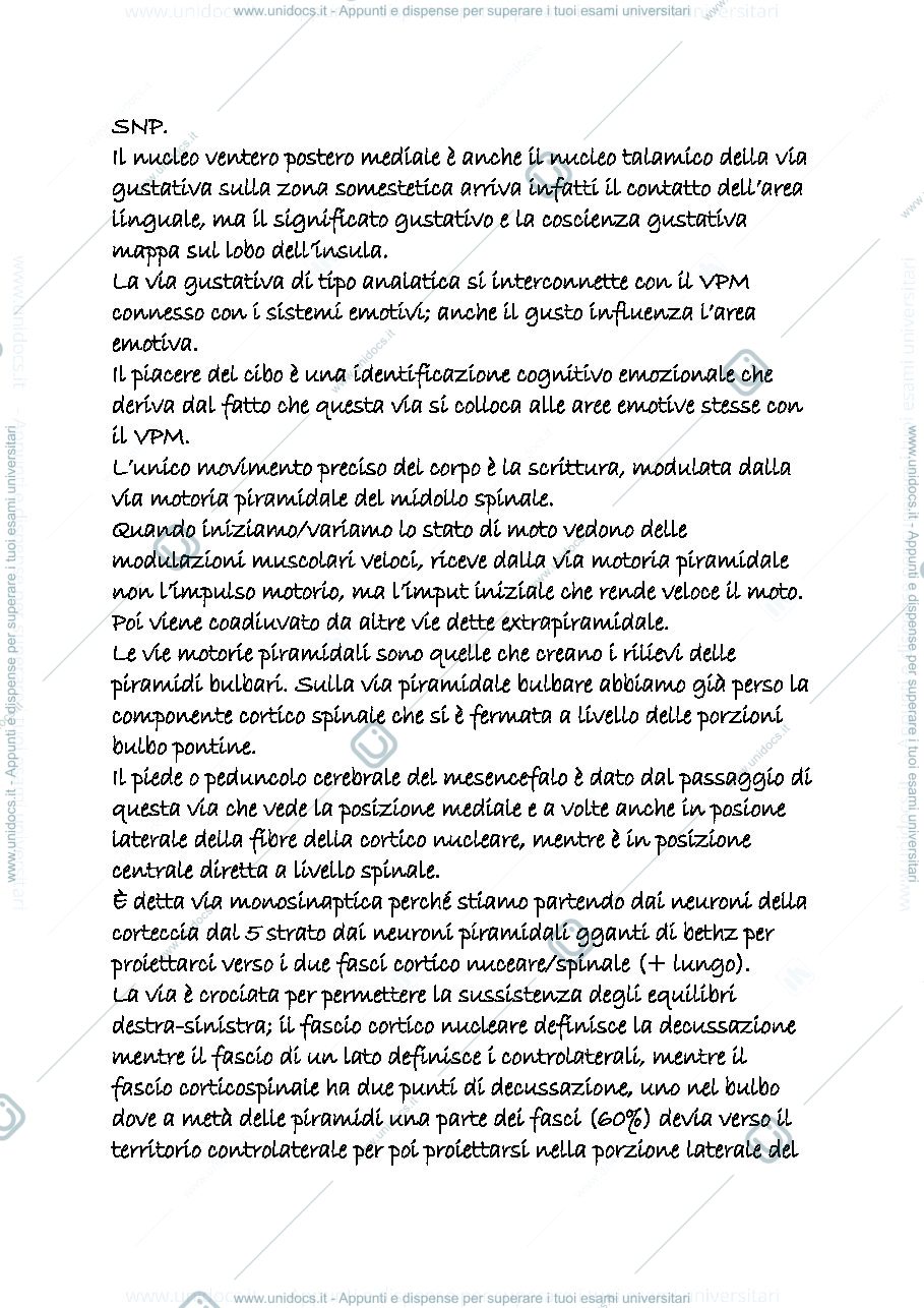 Anteprima pagina 1 — sistema nervoso periferico