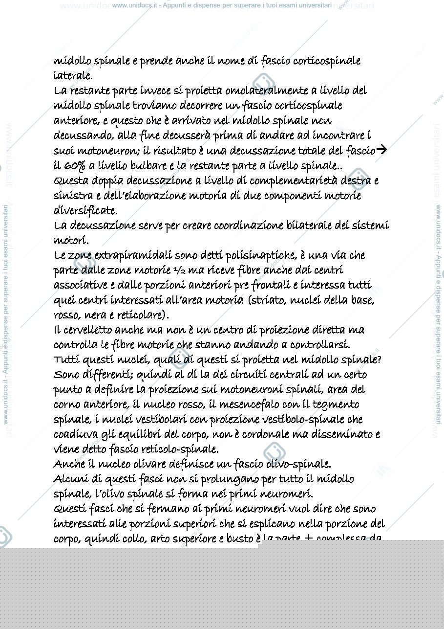 Anteprima pagina 2 — sistema nervoso periferico