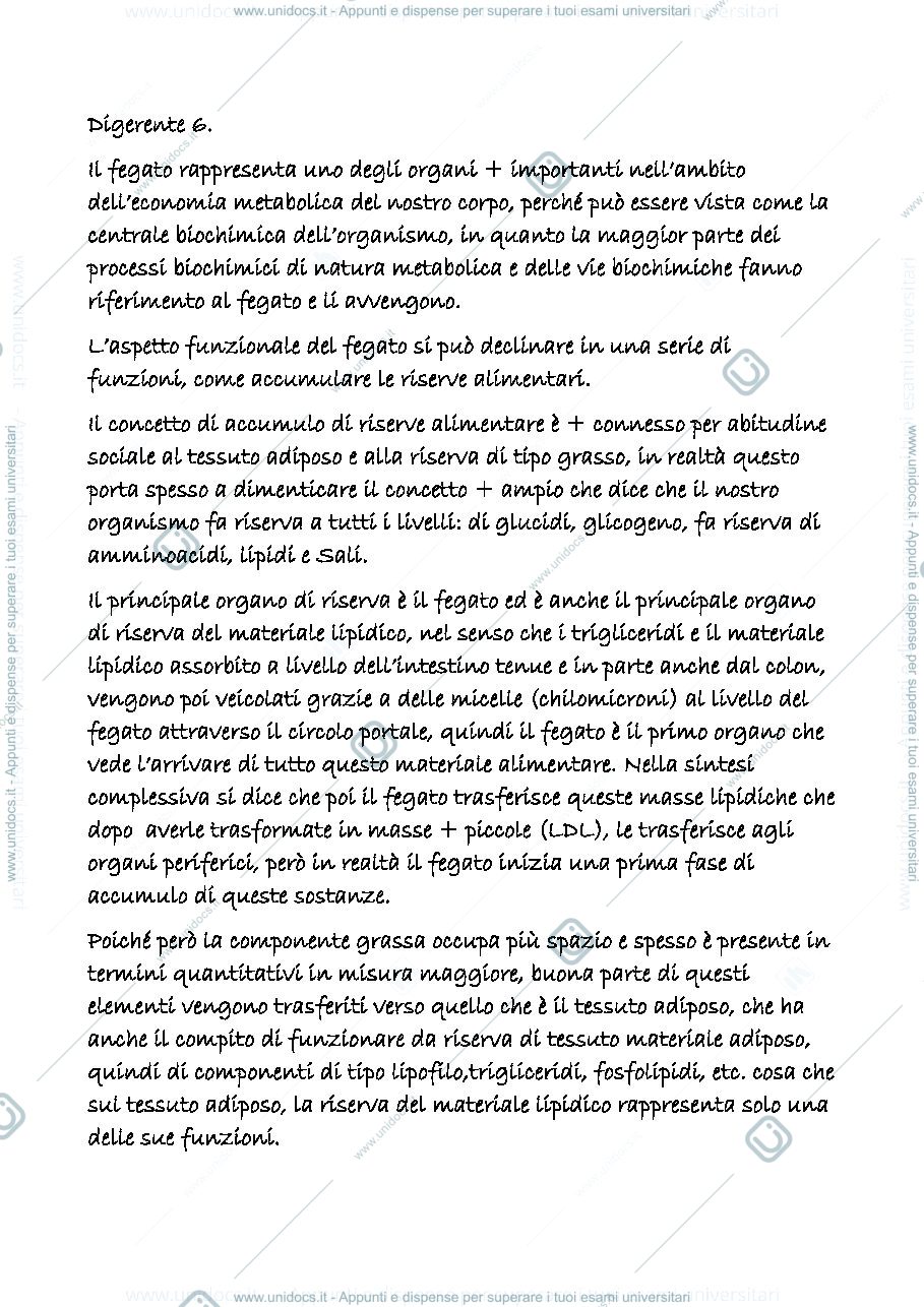 Anteprima pagina 1 — digerente 6