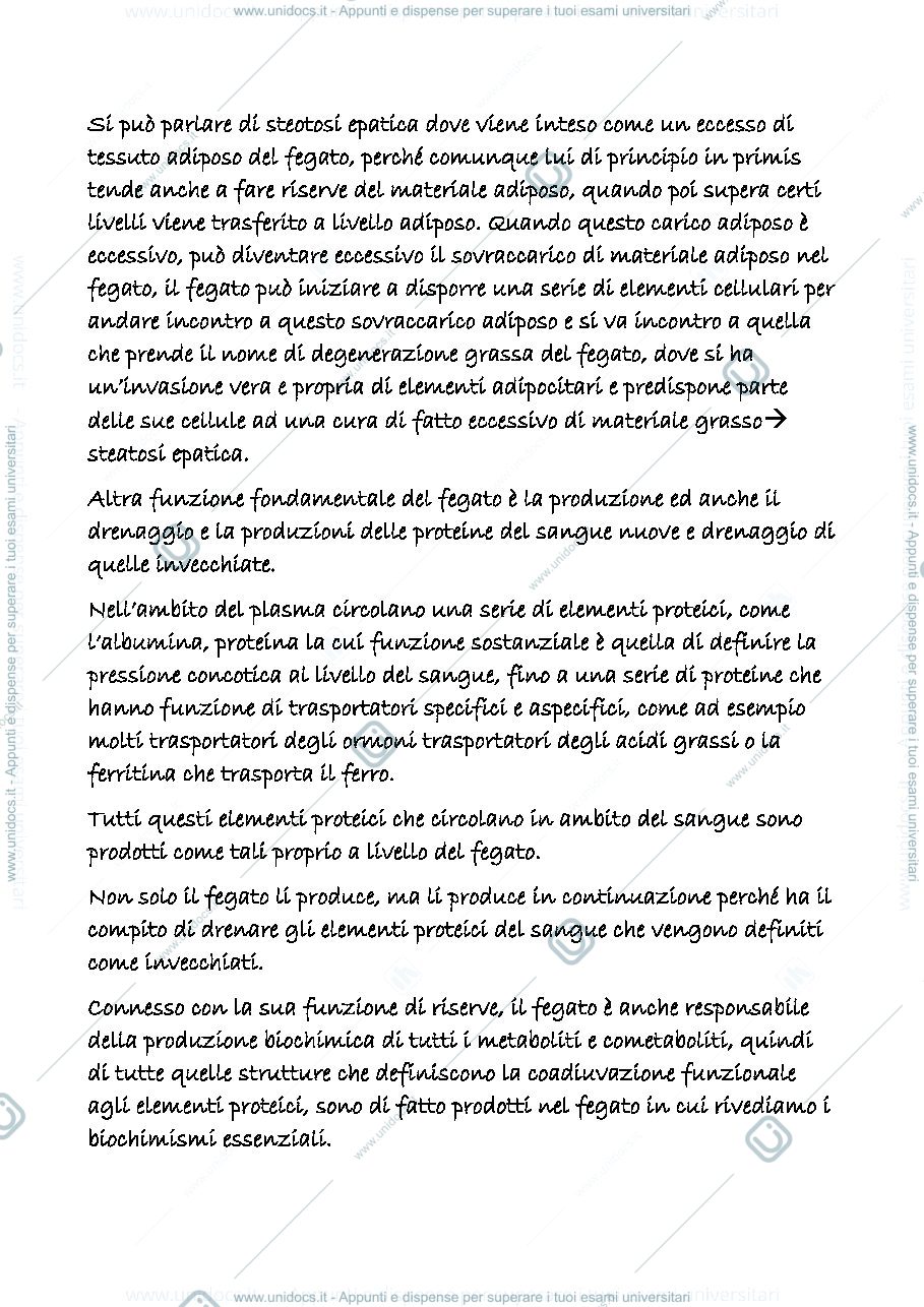 Anteprima pagina 2 — digerente 6