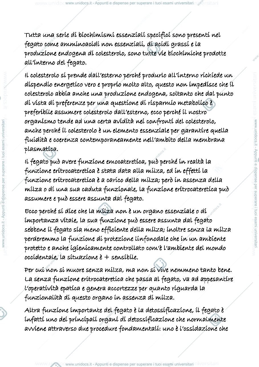 Anteprima pagina 3 — digerente 6
