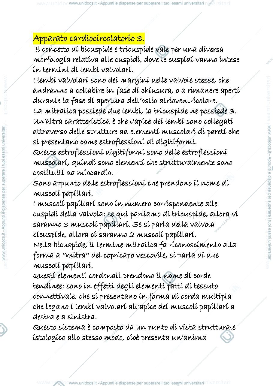 Anteprima pagina 1 — appunti cardiocircolatorio 3