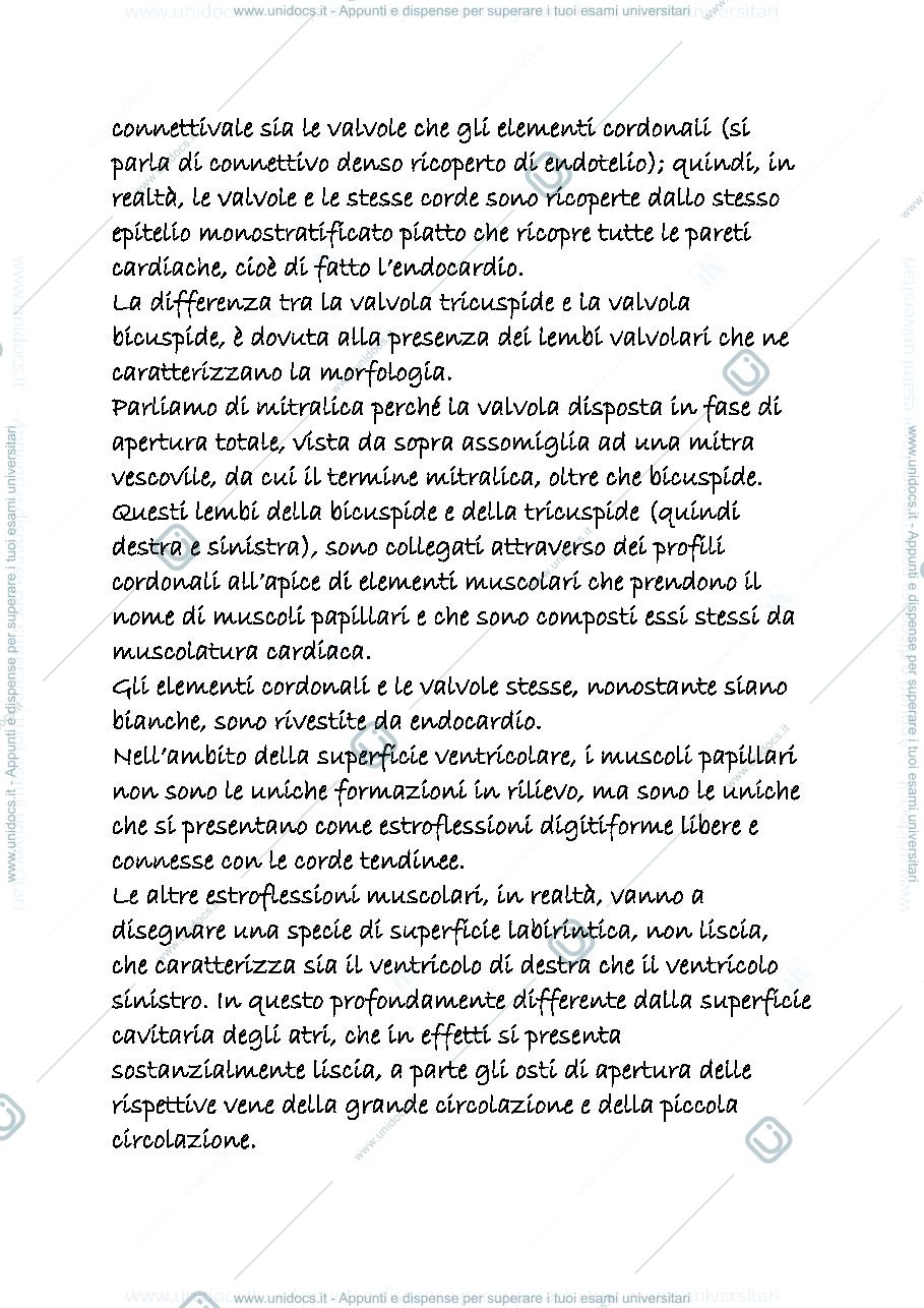 Anteprima pagina 2 — appunti cardiocircolatorio 3