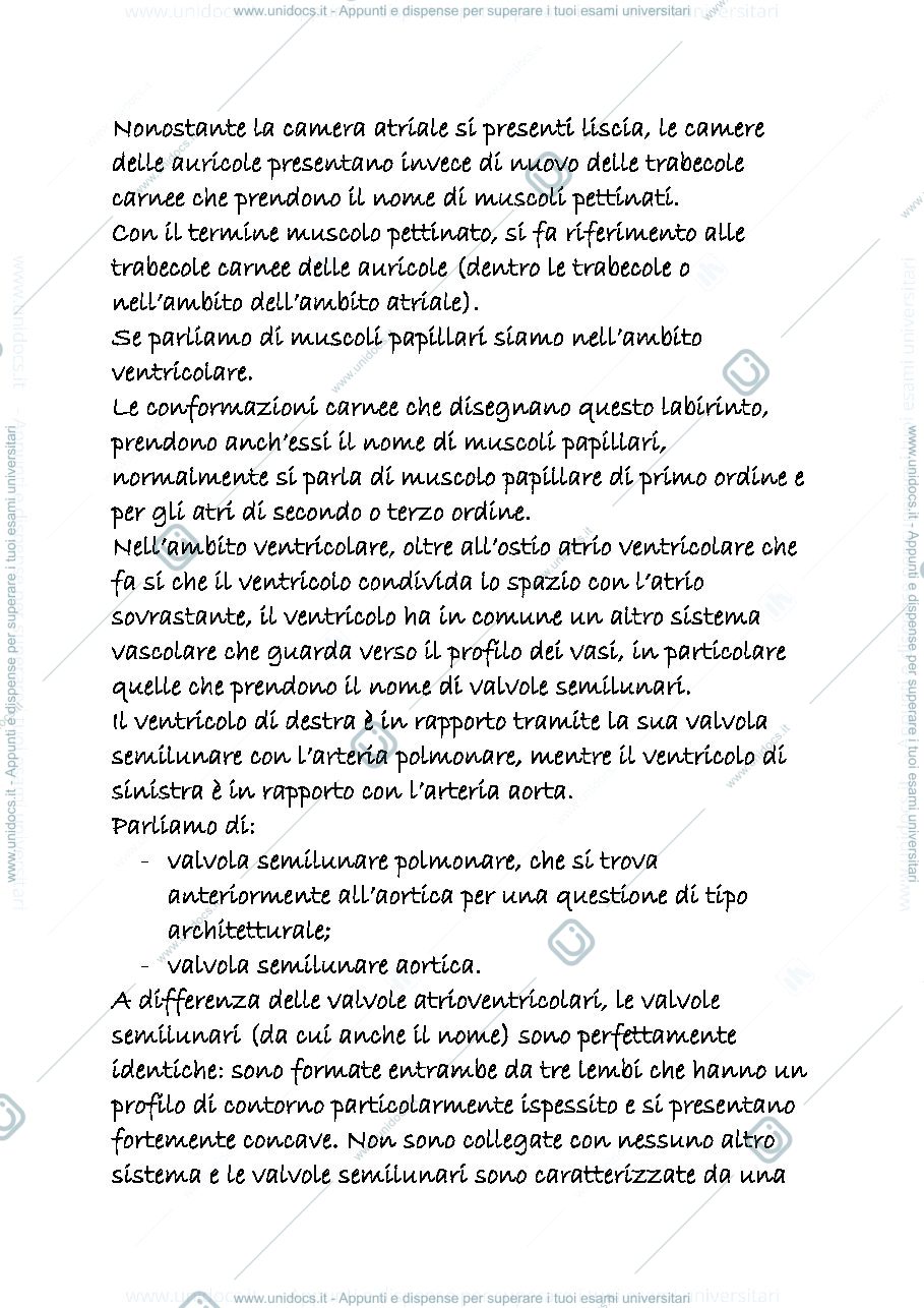 Anteprima pagina 3 — appunti cardiocircolatorio 3