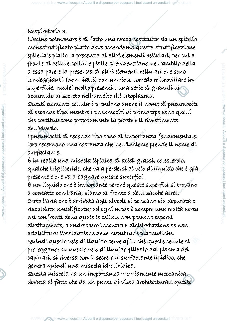 Anteprima pagina 1 — RESPIRATORIO 3