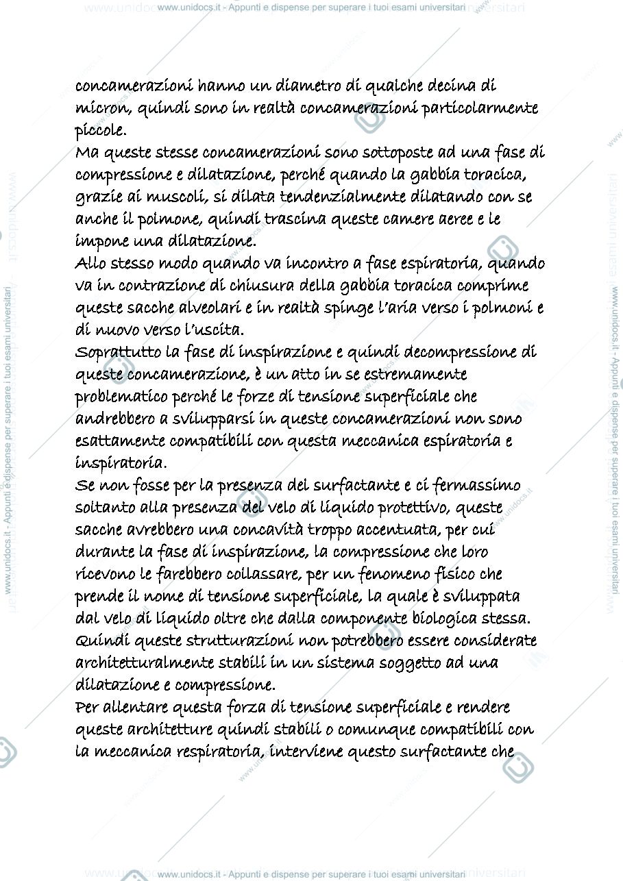 Anteprima pagina 2 — RESPIRATORIO 3