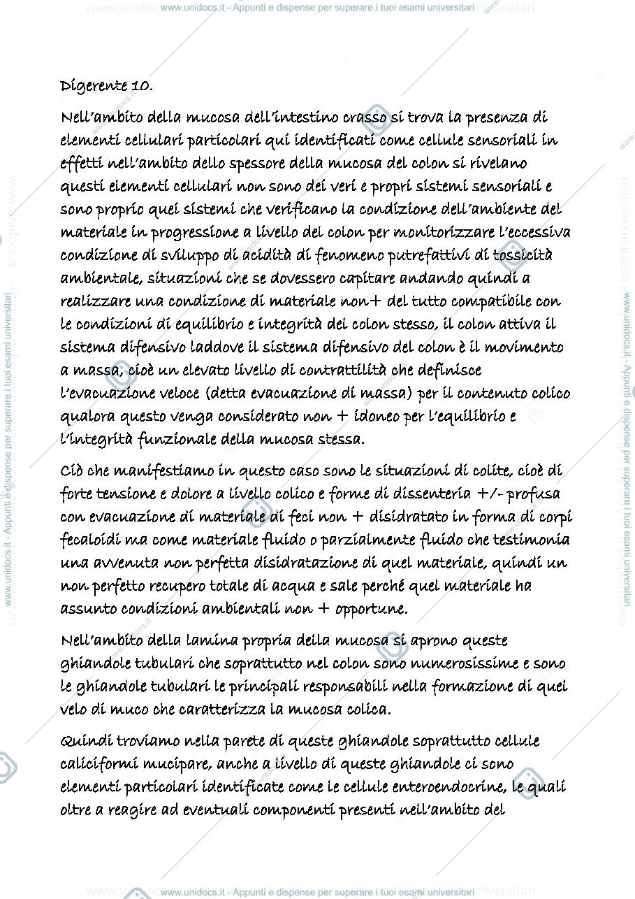 Anteprima pagina 1 — digerente 10