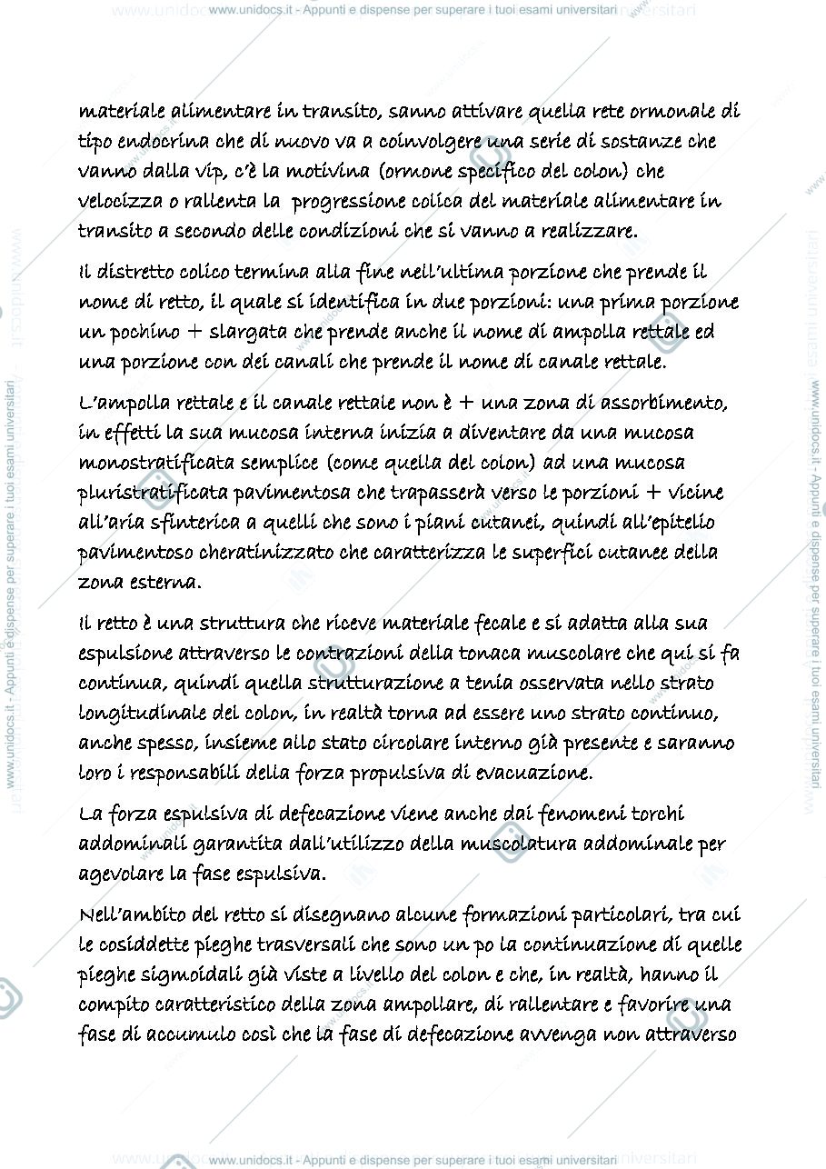 Anteprima pagina 2 — digerente 10