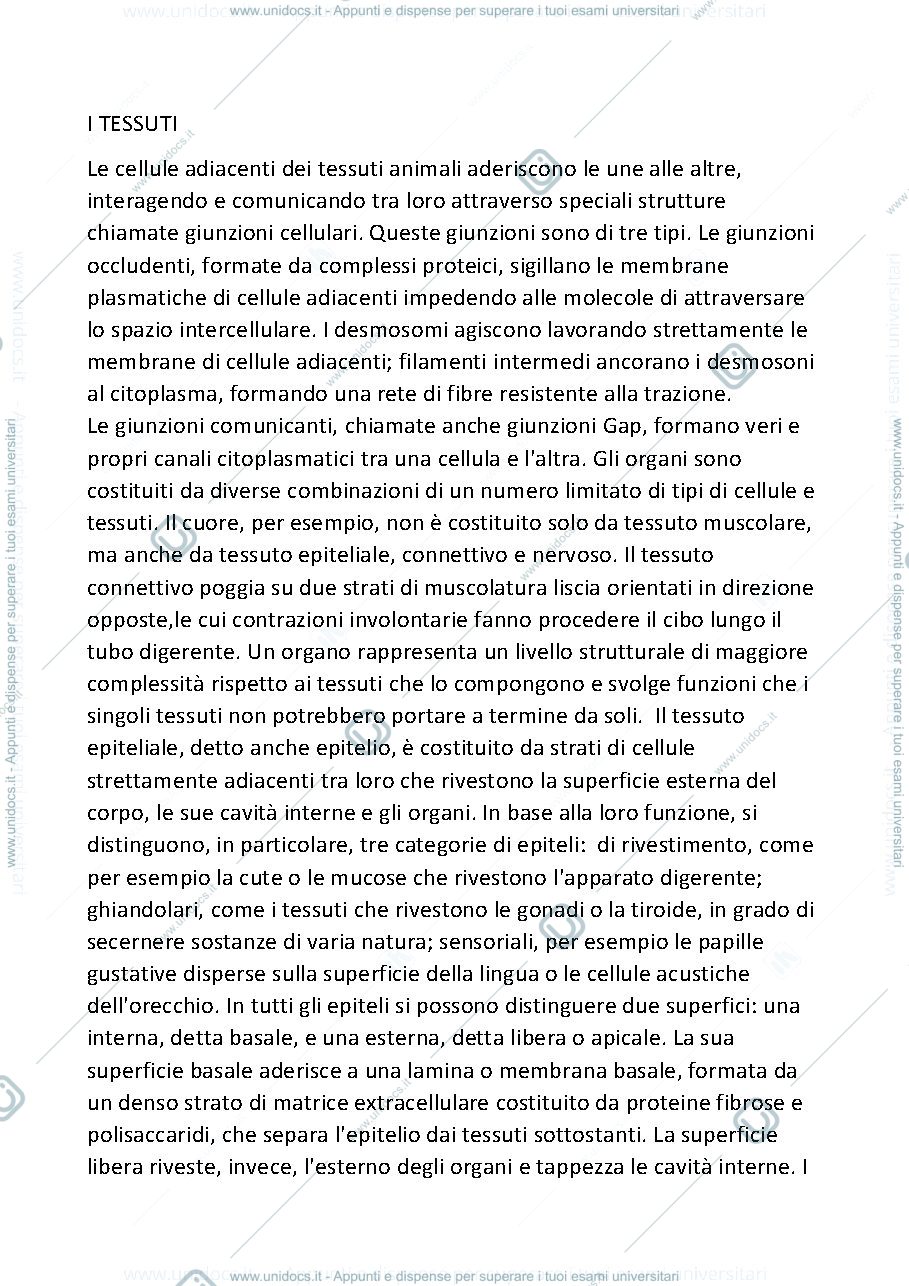 Anteprima pagina 1 — I TESSUTI