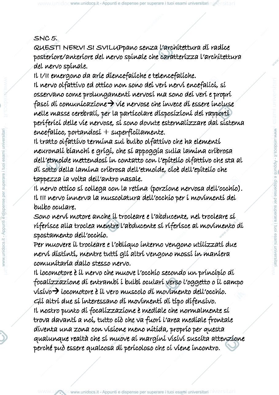 Anteprima pagina 1 — snc 5