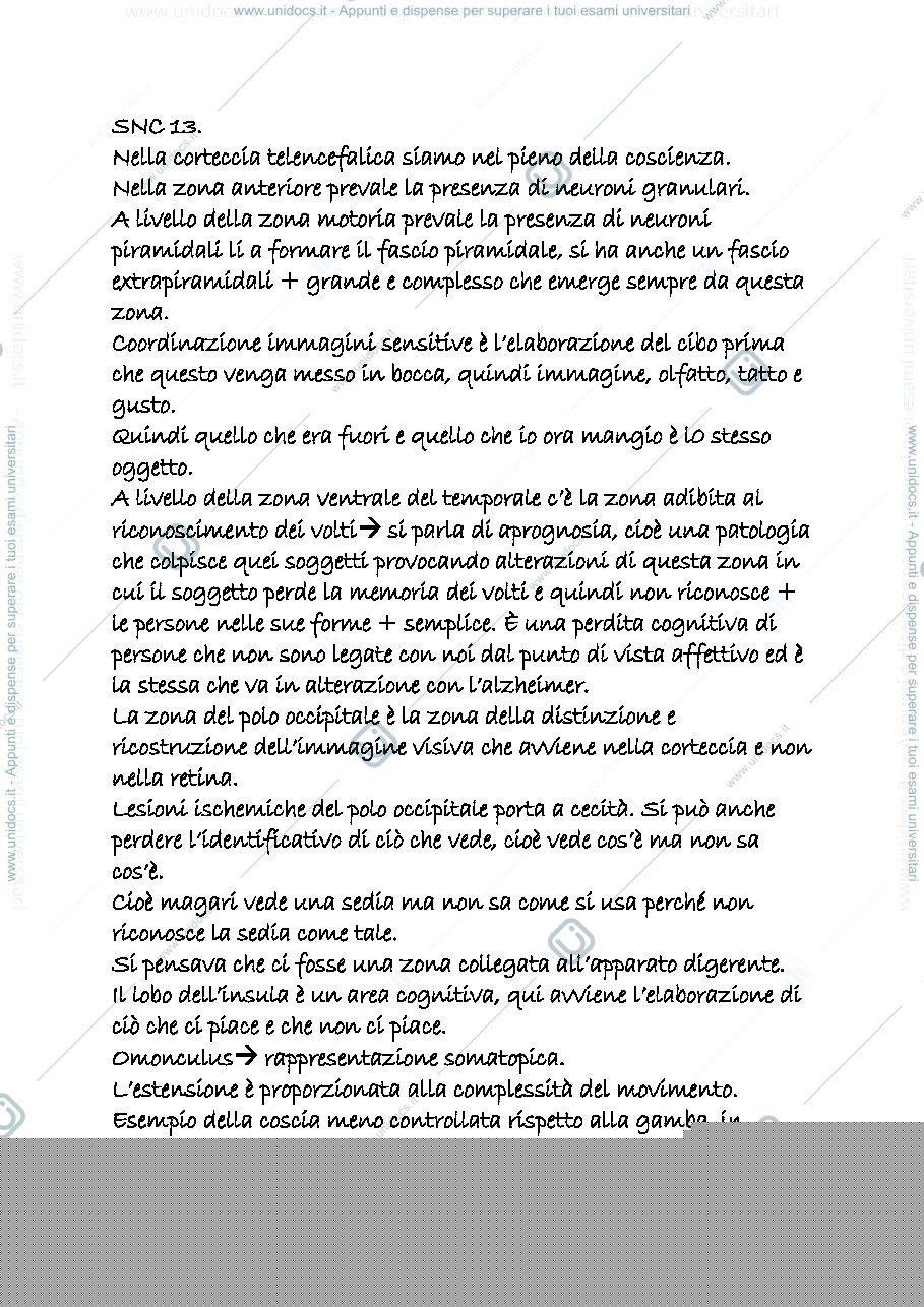 Anteprima pagina 1 — snc 13